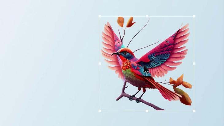 Adobe Firefly uygulaması iOS ve Android için çıktı