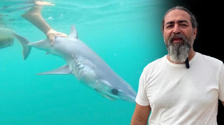 Akdeniz kıyılarında görülen köpek balıklarının sırrı! Açıklama geldi