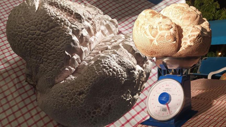 Almanya’dan Sivas’a gelen gurbetçi şoke oldu! ‘Hayatımda ilk defa gördüm’