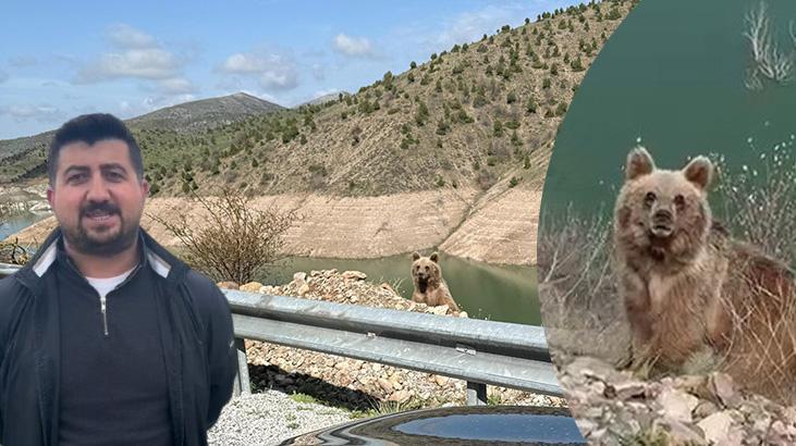 Ayı görüntüleme macerasının sonu! Kamerayı açıp yanına yaklaştı