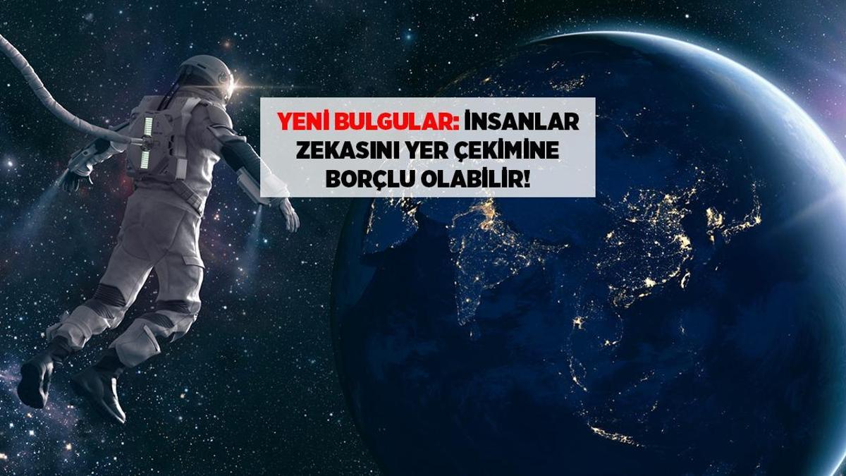BİLİM HABERLERİ: İNSAN TÜRÜ ZEKASINI YER ÇEKİMİNE BORÇLU OLABİLİR, İŞTE ÇILGIN TEORİ