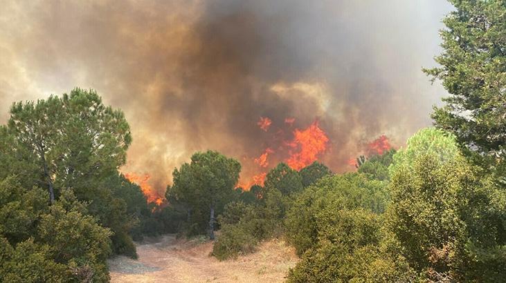 Çanakkale'de orman yangının! 7 uçak, 3 helikopterle müdahale