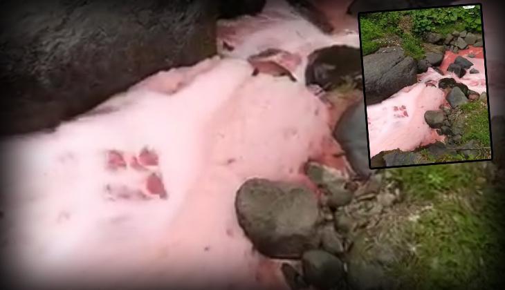 Dere yatağındaki suyun rengi sosyal medyada gündem olmuştu! Rize Valiliği'nden açıklama