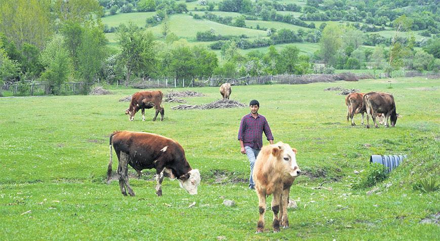 Destek paketiyle ‘bereket’ yağacak