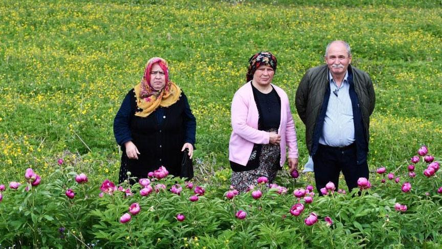 Dokunmak yasak! Bedeli yarım milyon