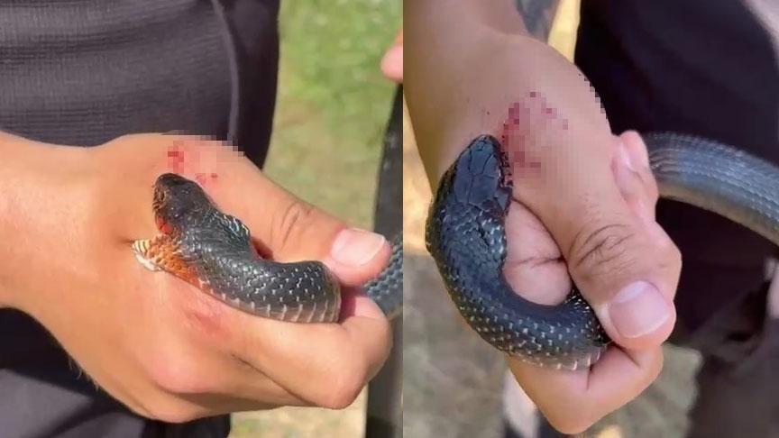 Hatay'da şoke eden olay! 'Zararsız, öldürmeyin' dediği yılan tarafından ısırıldı