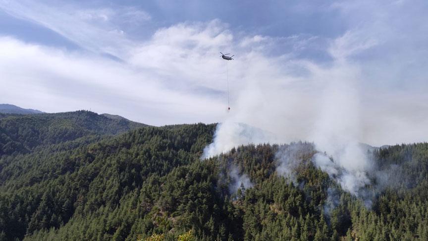 Kahramanmaraş'ta orman yangını! Ekipler harekete geçti