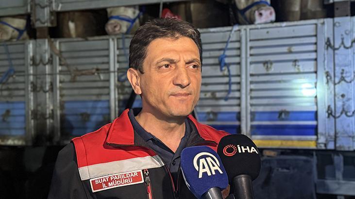 Kurban Bayramı yaklaştı! İstanbul'a kurbanlık hayvan girişleri başladı