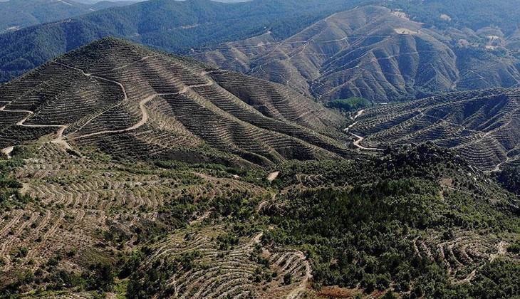 Kütahya'da ormanlara giriş yasağı