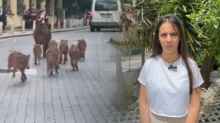 Marmaris'i istila ettiler: Şehir karantinaya alınabilir, giriş çıkışlar kapatılabilir