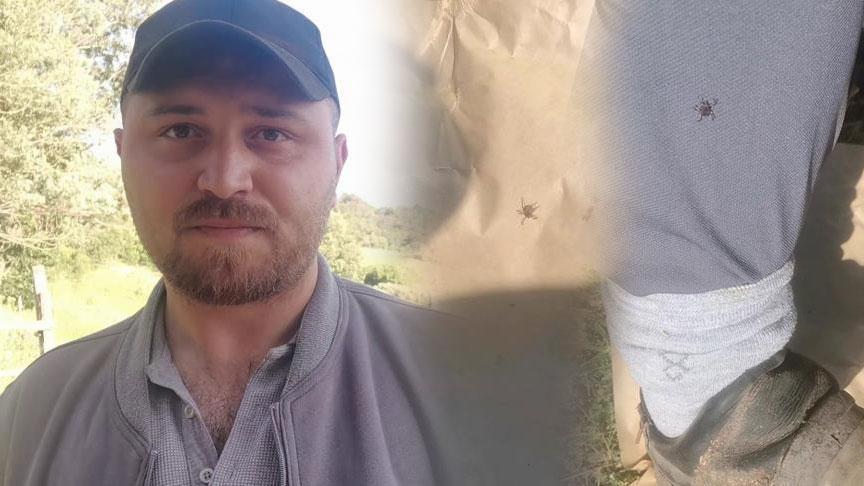 Onlarcası etrafını sardı! Kentte kabus: Köpekler gibi koku alıp üzerimize geliyorlar