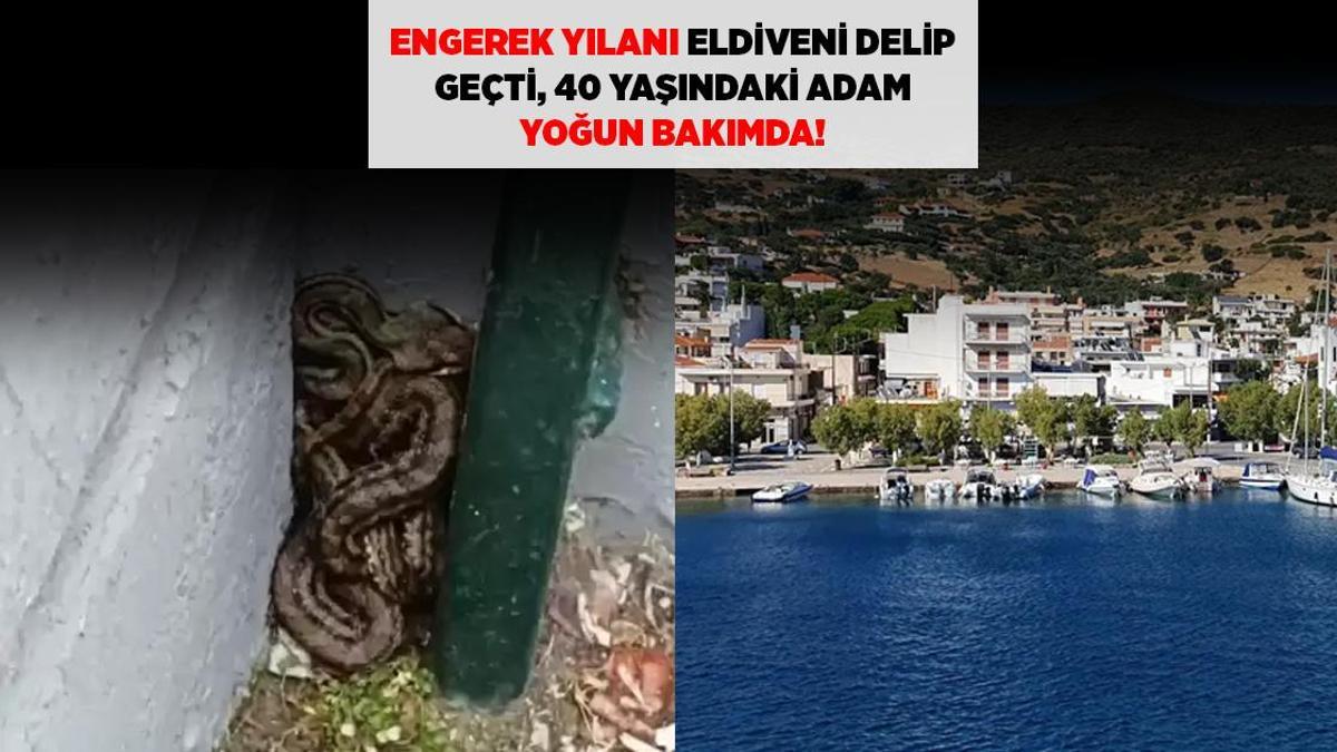 SON DAKİKA HABERLERİ: ENGEREK YILANI ELDİVENİ DELİP GEÇTİ, 40 YAŞINDAKİ ADAM YOĞUN BAKIMDA