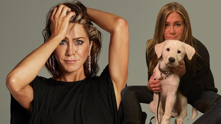 Son dakika! Jennifer Aniston'ın evine giren kişi etkisiz hale getirildi 