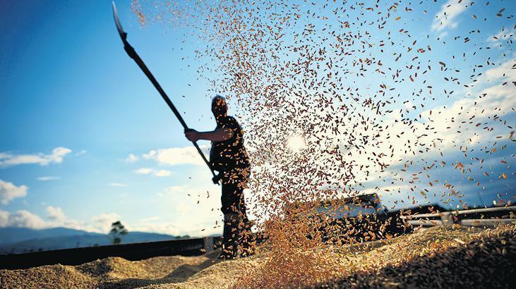 Tarlada 35 çeşit milli tohum tarıma kazandırıldı