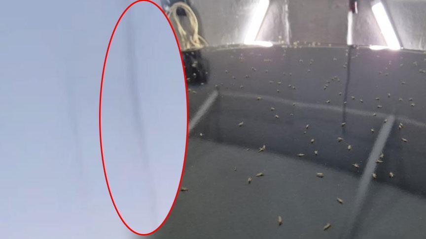 Tekirdağ'da kokutan manzara! ‘Herkes ışıkları kapatıyor, terk edilmiş şehir gibi oldu’