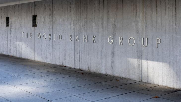 Türkiye ile Dünya Bankası'ndan orman yangınlarına yönelik işbirliği çalıştayı