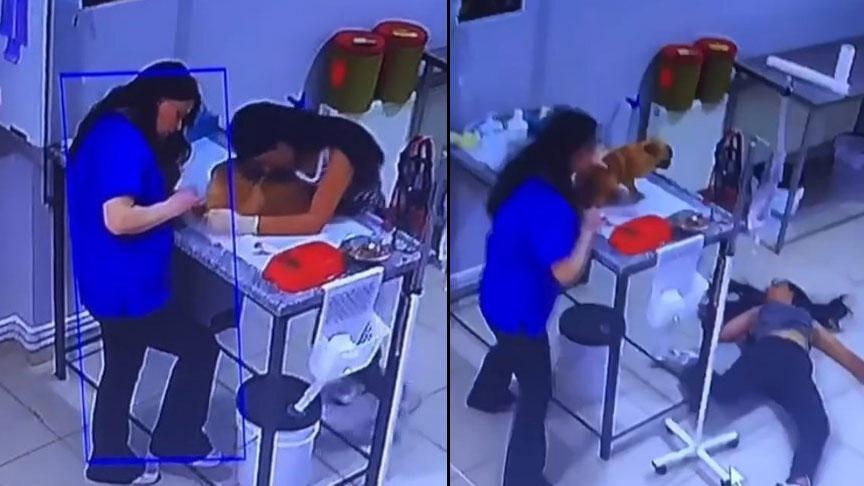 Veteriner kliniğinde şok anlar! Köpeğini tedavi ettiren kadın yere yığıldı