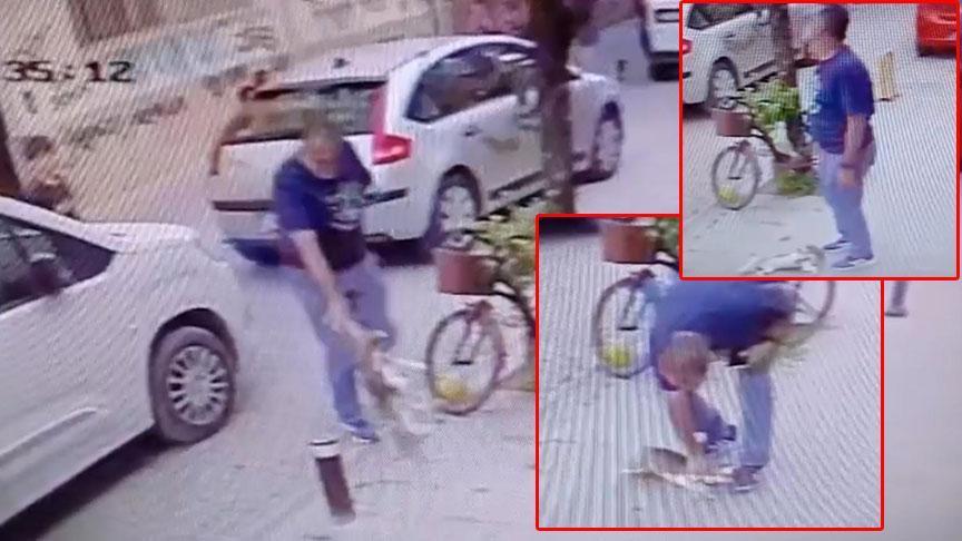 Yere atıp, boğazını sıktı! ‘Benim köpeğim, istediğimi yaparım’
